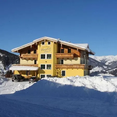 Wildkogel - Berghof Luegeck Apartment